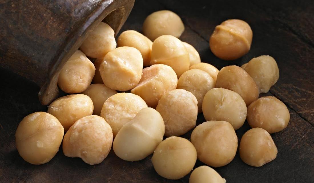 macadamia-nuts-business-plan
